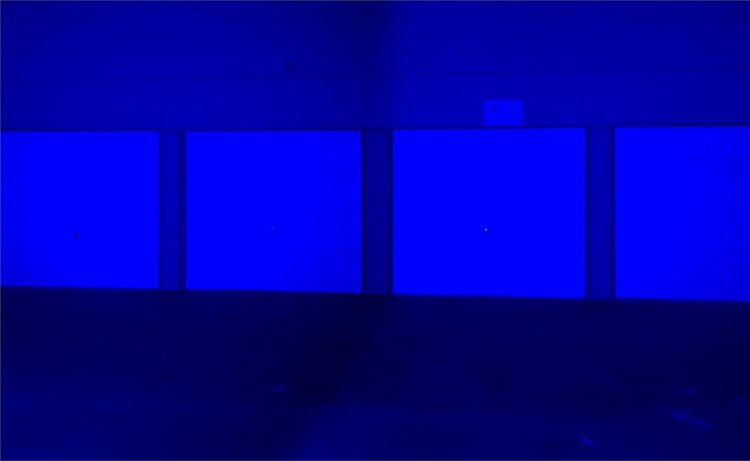 Buyers show-2 Buyers show-2