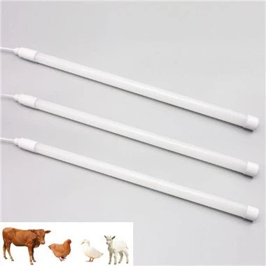 Додатно осветљење за пилиће