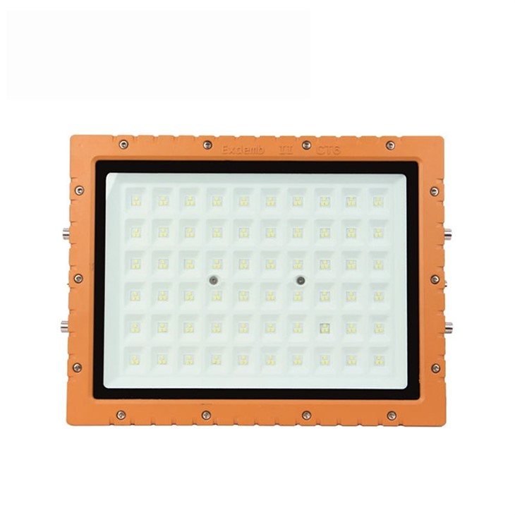 explosion proof hand lamp