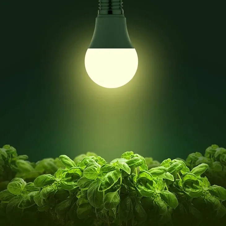 Grow Light Bulb For Indoor Plants