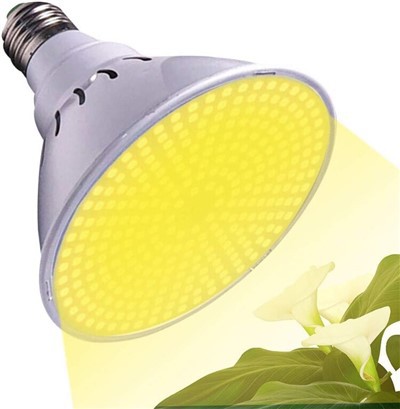 20В сијалице за узгој у стакленицима у затвореном врту