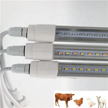 Цхицкен Лигхт Фор Цооп