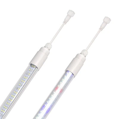 Светла за почетак раста семена