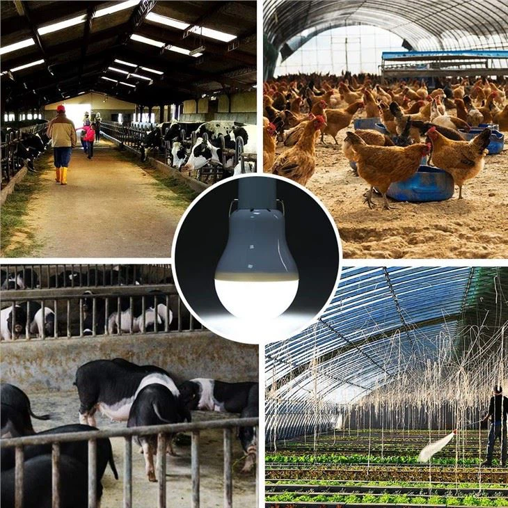 Solar Panel Powered Rechargeable Light Bulbs for Shed3