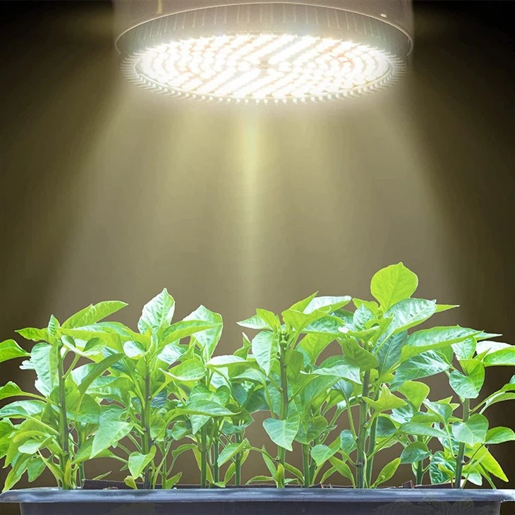 30W Plant Light Bulb 3