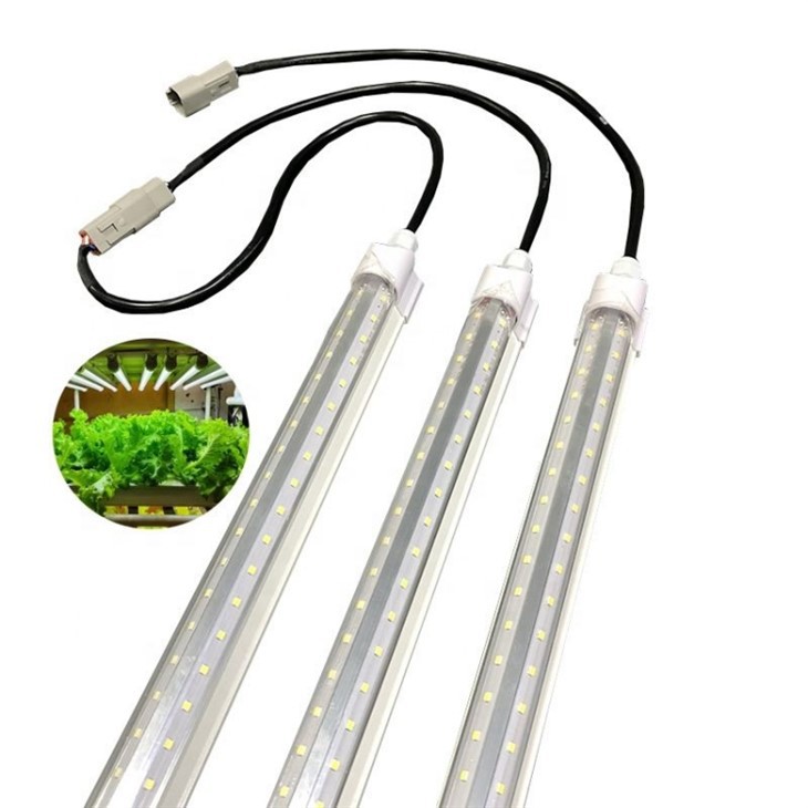 100w Grow Light