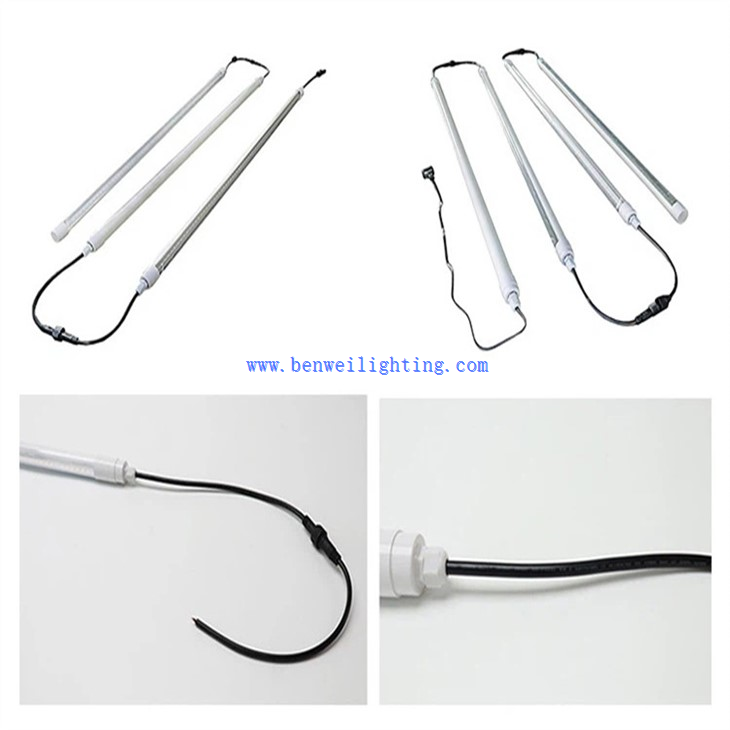Broiler Rearing Light (2)