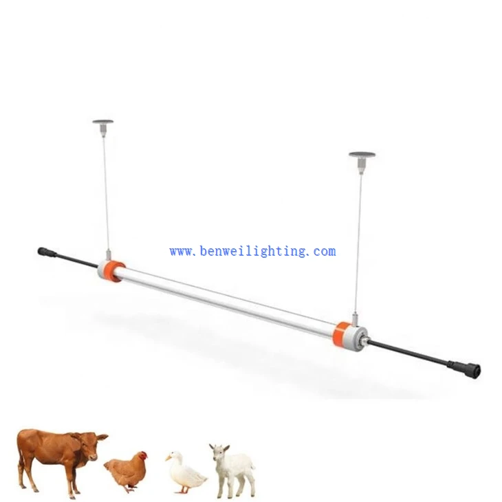 Chicken Light With 0-10V 3500K 15W