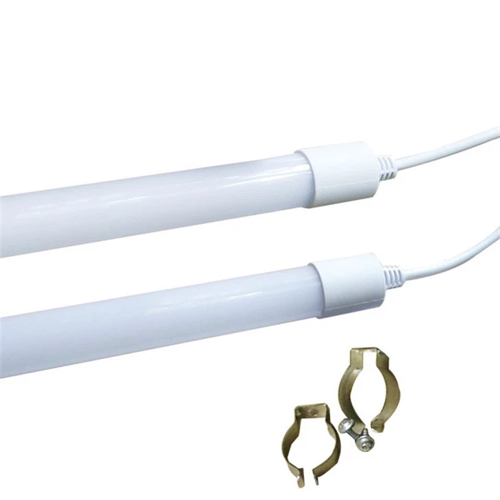 Egg-laying Hen Light