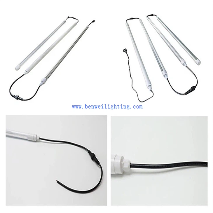 Egg-laying Hen Light (3)