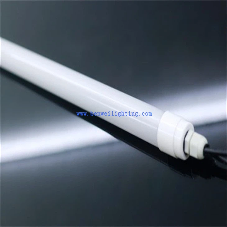 Egg-laying Hen Light (2)