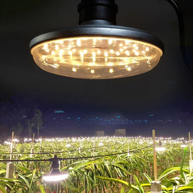 UFO Plant Growth Lights UFO Plant Growth Lights