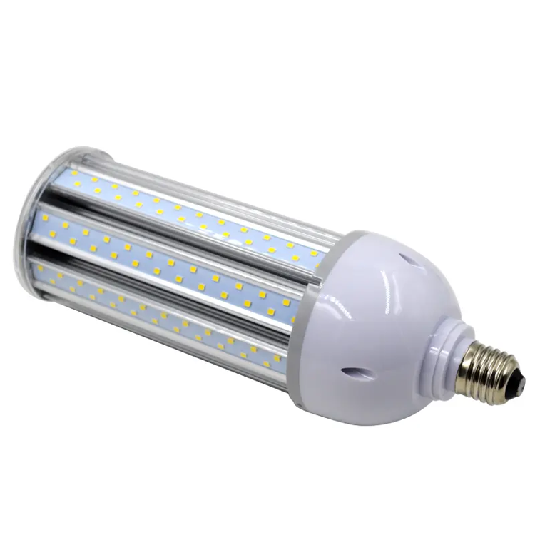 Corn Bulb For Supermarket 1