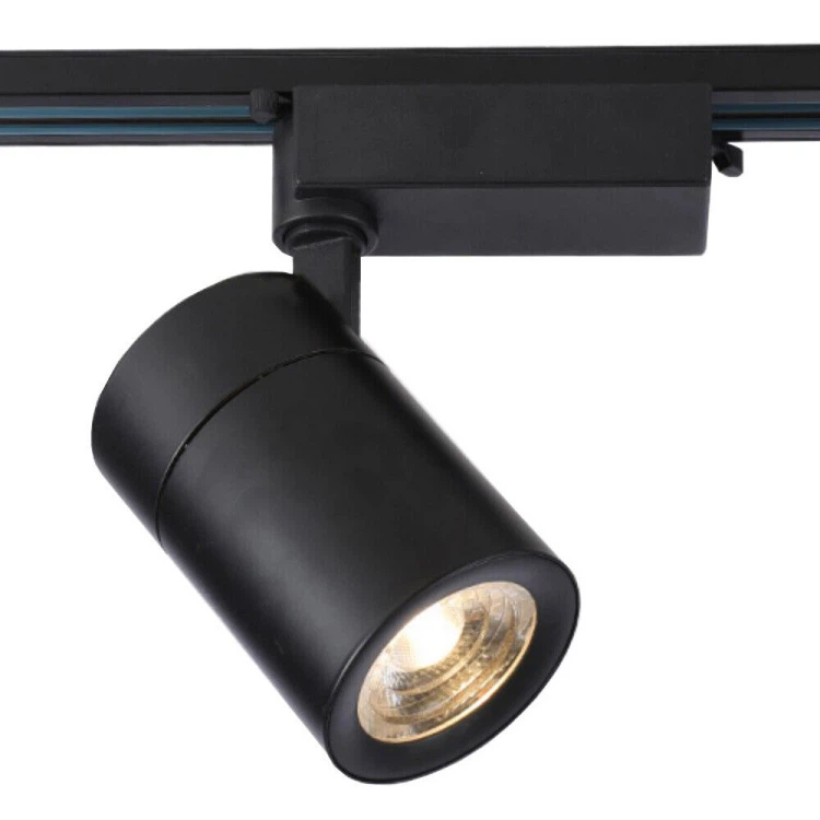 Track Light For Main Light 1
