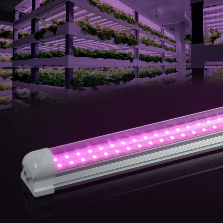 Mushroom House Plants Tube Light Mushroom House Plants Tube Light