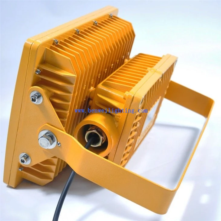 led flame proof light