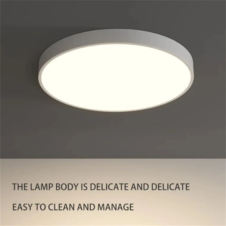 Modern Round Ceiling Light factory