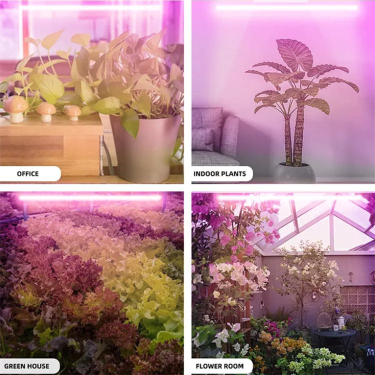 full spectrum led grow lights full spectrum led grow lights