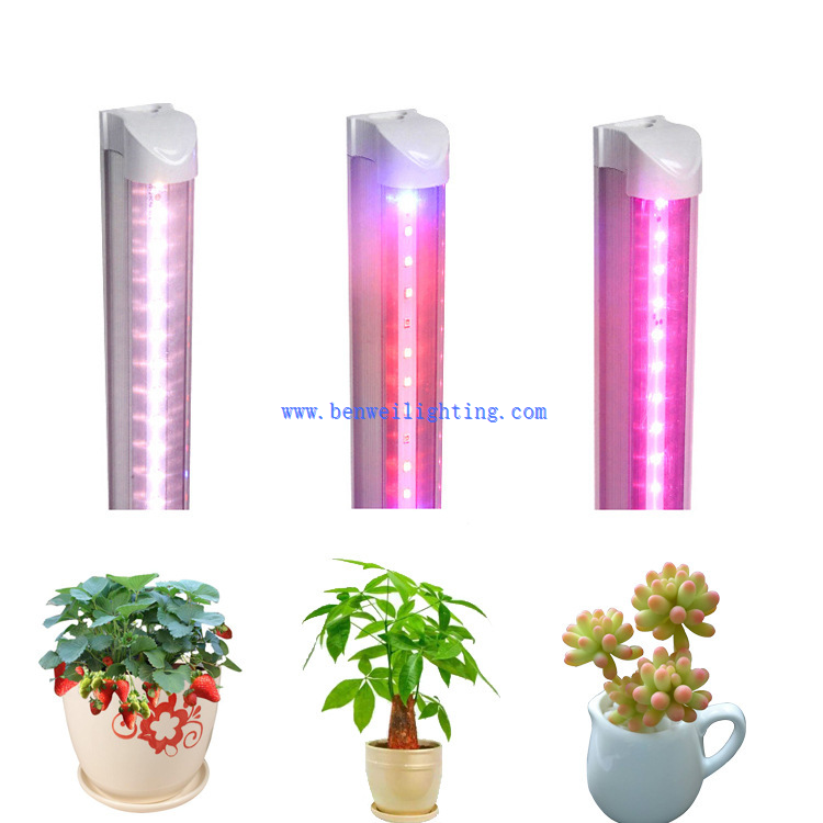 Grow1 Grow1
