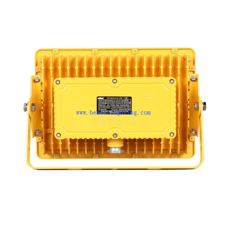 Spark-proof flood light (4)